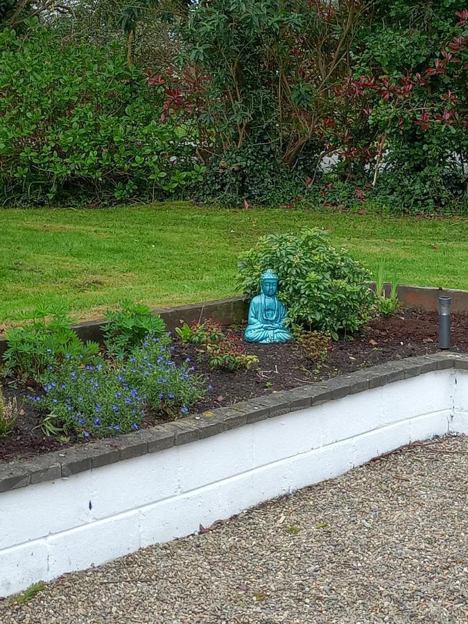Bed and Breakfast Applelea House Rosslare Harbour Exteriér fotografie