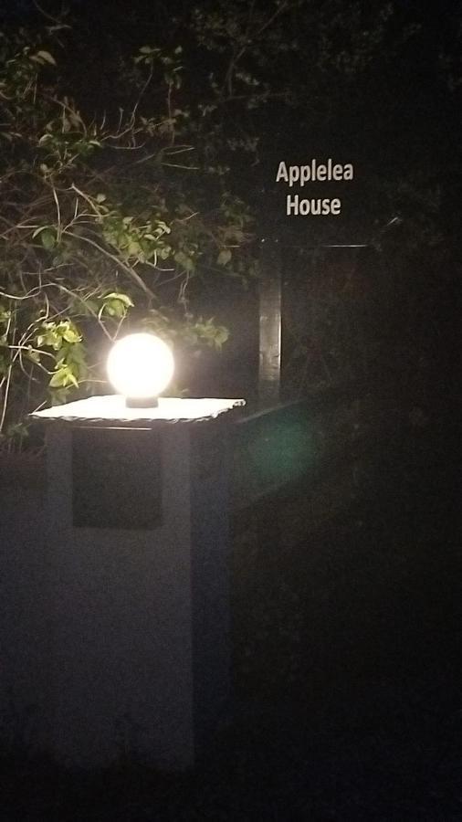 Bed and Breakfast Applelea House Rosslare Harbour Exteriér fotografie